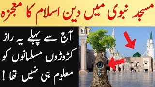 Masjid e Nabvi kay Nechay Dafan Raz | Miracle Tree