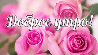 💖Доброго утра и счастливого дня! Красивое и нежное пожелание