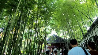 Yu Garden, Shanghai, China