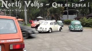 NORTH VOLKS - 7º Low Bugs