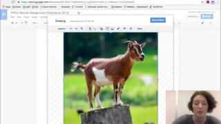 Inserting a Drawing into a Google Document