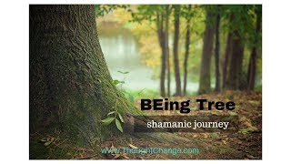 Shamanic Journey Experience - BEing Tree