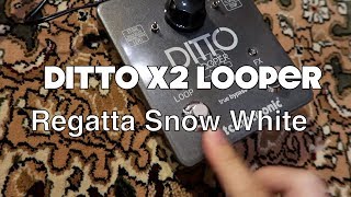 DITTO X2 LOOPER TC Electronics - Regatta Snow White | @alexcsijabat | @ams.guitar