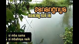 selama mancing...ini yang paling bahagia | @jokrinmancingliar8552