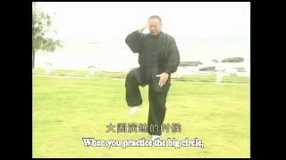 Actual combat Huling Style Taichi Agile form