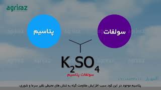 کود سولفات پتاسیم