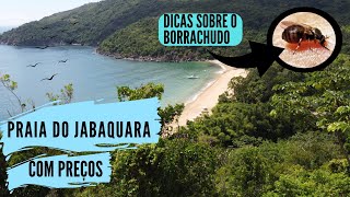 PRAIA DO JABAQUARA - ILHABELA / COM PREÇOS E DICAS #ilhabela #002