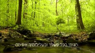 אלעד צפירה - התיקון הכללי