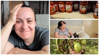 VLOG | İş bitti ✅ Bulgar marketi..Luteniza alındı..Bahçem🌳#almanyadahayat #vlog