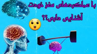 شگفتی های مغز انسان/واقعیت های جالب از مغز انسان