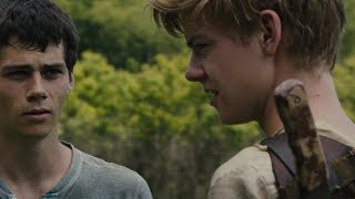 Thomas meets Newt [The Maze Runner]