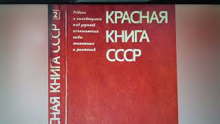 Наша красная книга. Ускользающие жемчужины - очерк, автор Вера Ветлина