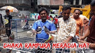 Biggest pigeon market in Dhaka Meradia | ঢাকার বুকে এক বিশাল কবুতরের হাট | Pigeons Market.Net