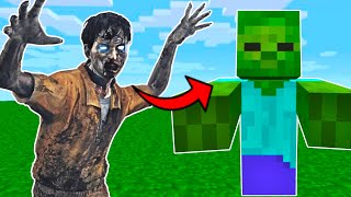 Minecraft and Cod Zombies Got Combined...