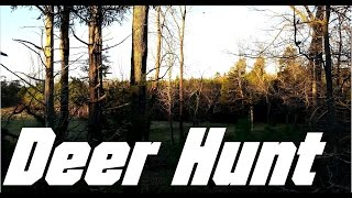 Deer Hunt 12-26-2014