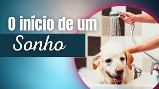 COMO REALIZEI O MEU SONHO ABRIR MEU PET SHOP