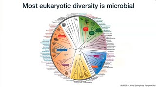 Long read metabarcoding to infer patterns of eukaryotic evolution - Mahwash Jamy