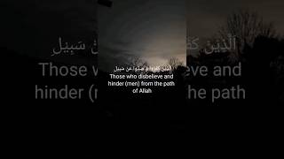 Surah Muhammad ❤️🥀🕋with translation 💓#youtubeshorts #shortfeed #islamicvideos