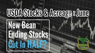 USDA Stocks & Acreage Report | June 2022 | Bullish Beans?