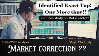 Market correction started ? Special study on Metal sector | Elliott Wave | Magicfibs | Nifty