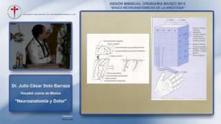 Dr. Julio César Soto Barraza " Neuroanatomia y Dolor "