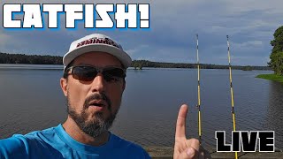 Catfishing at Lake Talquin live! #fish #fishing #catfish