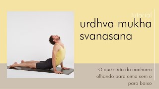 Como fazer o cachorro olhando para cima (Urdhva mukha śvānāsana) - Tutorial