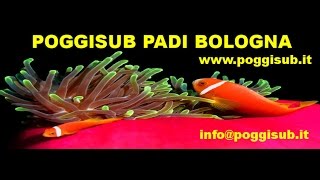 Poggisub Promo 2016