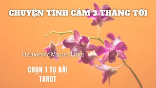 Chọn 1 tụ bài Tarot ❤️ [BIGLOVE] 🔮 CHUYỆN TÌNH YÊU 3 THÁNG TỚI