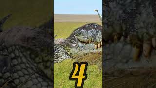 Top 5 Dangerous animals in the world