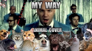 Limp Bizkit - My Way (Animal Cover)