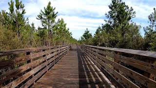 Campground Trail - Gulf State Park, AL