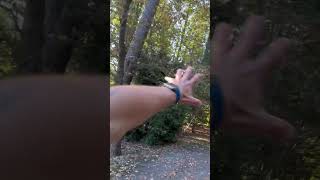 Solo work,big property #treelife #awesome #trees #nature #treeclimber #part2