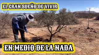 23~CONTRUYENDO CASA EN EL SEMIDESIERTO🌵despejando terreno ✅