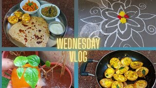 #vlog#morning to afternoon vlog/healthy lunch😋 ఇలా ఒకసారి ట్రై cheyyandi👌🏻