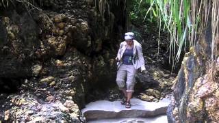 Trinidad and Tobago Paria Waterfalls Preview