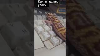 Как я делаю уроки! #:)