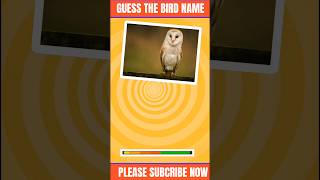 Guess the bird name || পাখির নাম অনুমান করুন || #shorts #quizguess #viral