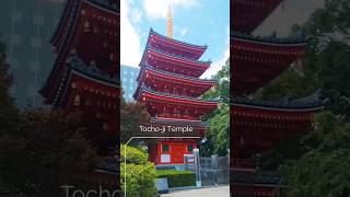 Cultural Charm ✨🇯🇵 #japaneseculture #temple #historictemples #traveljapan #sight #traveltips