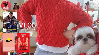 [뜨개하며독서 vlog-54] 쪄죽을것 같아도 뜨개ㅣFO - Extra Texture by Stephen Westㅣ범죄도시 4ㅣH마트에서 울다ㅣ달의 바다ㅣ1인1견ㅣknitting