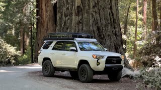 Mission: Redwoods California (8 day overland trip)