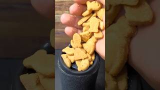 JBL Flip 6 Bass Test with ELF Maple Syrup Goldfish!