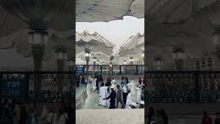 Madinah ASMR #madina #asmr #shortsvideo #viralshorts #islamicshorts #trendingshorts #saudiarabia