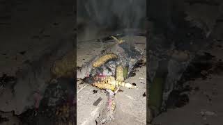 persiapan bakar kelinci #rabbit #kelinci #fashiontrends #shortvideo #kelincigemes #subscribe