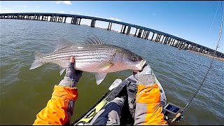 Early Spring Jersey Stripers