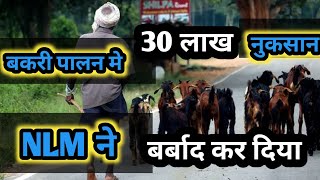 Bakri Palan Me 30 Lakh Ka Bhari Nuksan |Vimal Umrao