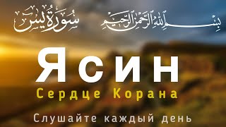 Сура Ясин (СЕРДЦЕ КОРАНА) СЛУШАЙТЕ КАЖДЫЙ ДЕНЬ.