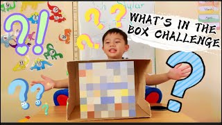 What's in the Box Challenge | Random Stuffs | Family Fun Kids Activity