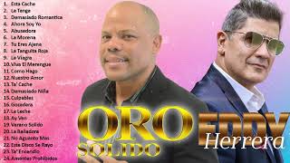 LAS MEJORES CANCIONES DE ORO SOLIDO, EDDY HERRERA | COLECCIÓN DE MÚSICA MERENGUE PARA TI HOY