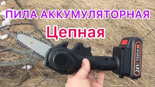 Это самый честный обзор на АККУМУЛЯТОРНАЯ ЦЕПНАЯ МИНИ ПИЛА.